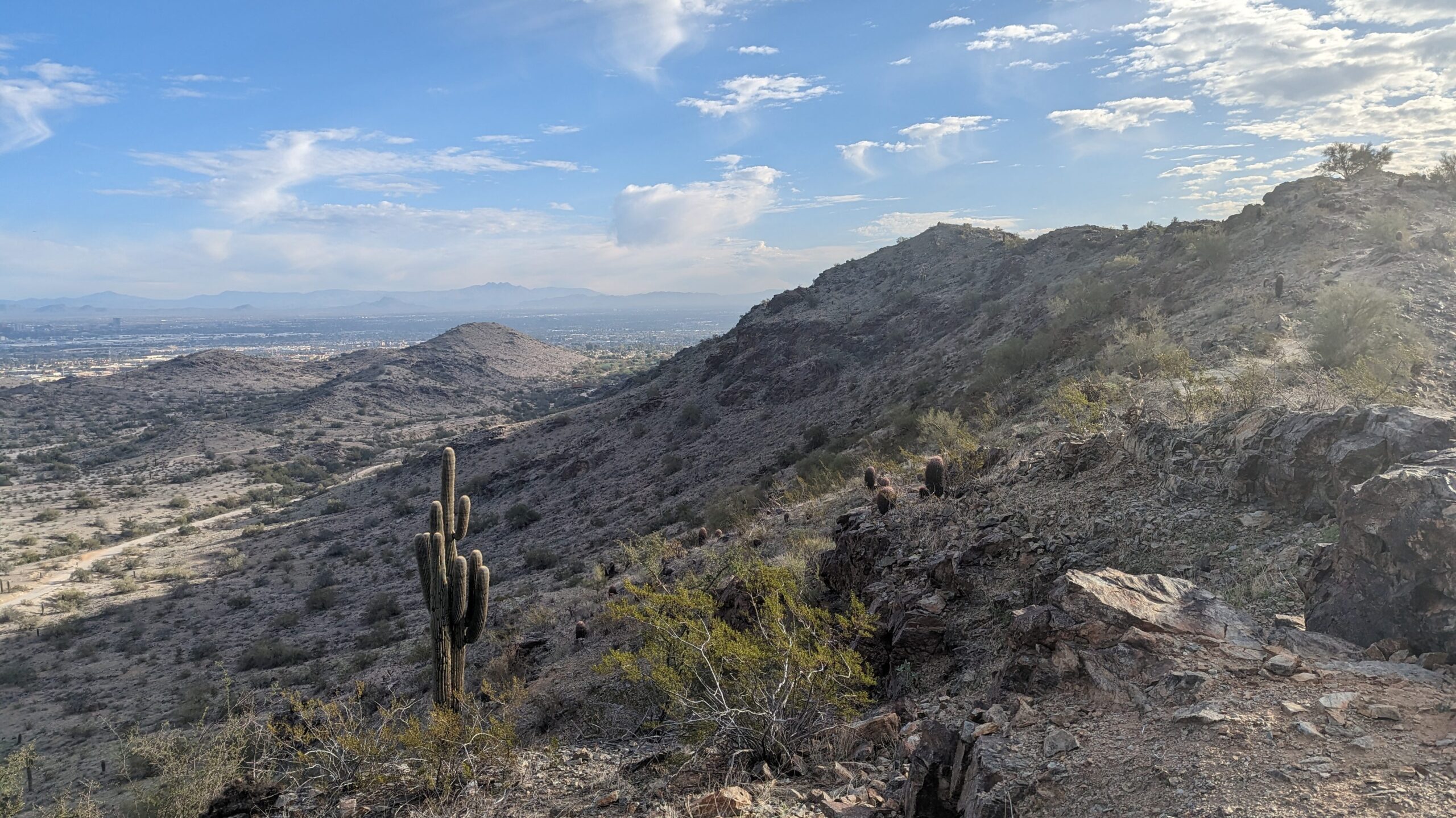 A mountain desert view, with a background of wispy clouds and a lush desert landscape.